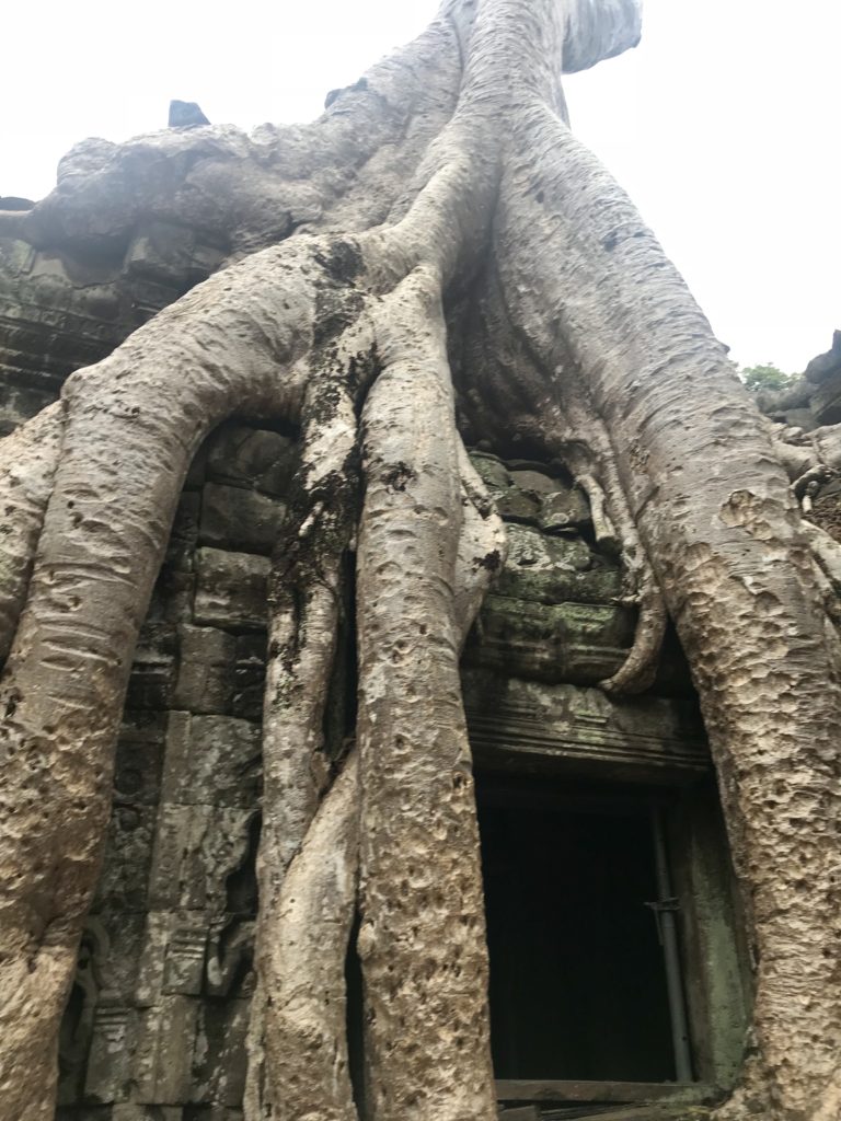 Kampuchea WARNING: Cambodia History Lesson Ahead 25 085943EB D9CE 48F1 932E 3D26EDE1B30C