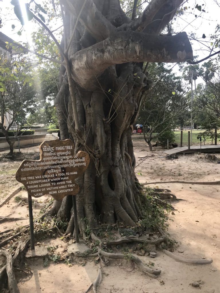 Phnom Penh - Visiting The Killing Fields and S-21 Tuol Sleng 17 7A0B6F4A 48FD 4ECE B982 EA06448CBFFA