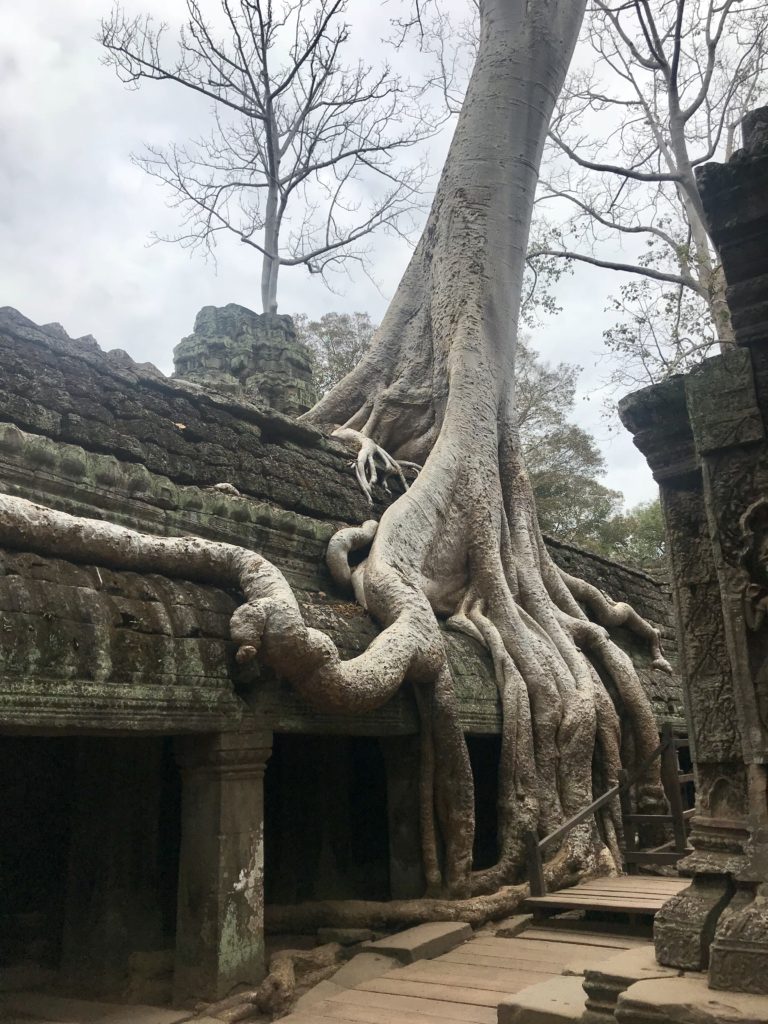 Kampuchea WARNING: Cambodia History Lesson Ahead 26 BA492AF8 78B3 41E6 BF2E C991BE82A1B9