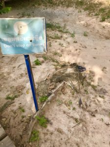 Phnom Penh - Visiting The Killing Fields and S-21 Tuol Sleng 16 F6079C3C 7976 41B9 BF04 58D936684DB7