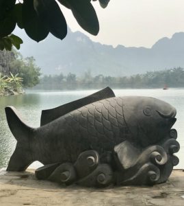 Cave, Rice, Bike and Other Four-letter Words: Phong Nha and Ninh Binh 54 0833377C 71E0 450E 9982 D7423C45C3C5