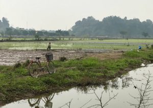 Cave, Rice, Bike and Other Four-letter Words: Phong Nha and Ninh Binh 44 0C8C4F86 42B7 4DBA 973B 5616A2329AEC
