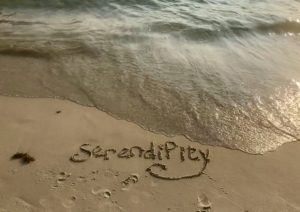 Serendipity 10 27C74486 9447 4141 BC21 E25ADC2C1BE8