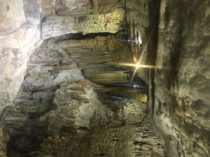 Cave, Rice, Bike and Other Four-letter Words: Phong Nha and Ninh Binh 37 698D2066 0E54 4E49 9ECA 0D11F7C04AFE