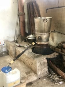 Dalat - Weasel Poop, a Crazy House and Celebrating 2nd Place 41 86FD7EC3 97D8 49D0 B376 2EEB362B9B82