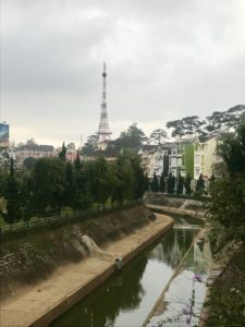Dalat - Weasel Poop, a Crazy House and Celebrating 2nd Place 24 89AD989E EDC1 4ECA 9FDE 0EA859502135