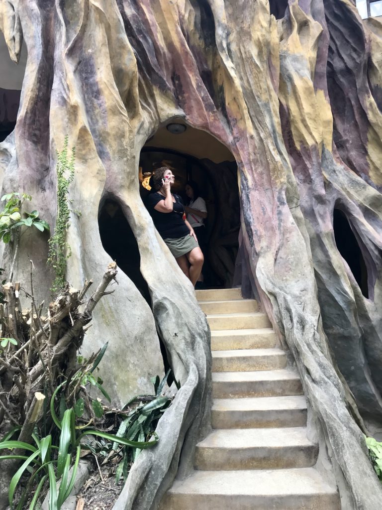 Dalat - Weasel Poop, a Crazy House and Celebrating 2nd Place 33 DBAB84CE 46BD 4503 9616 06BD7F1A3B8E