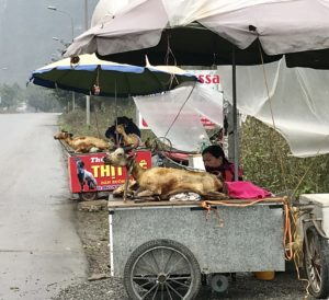Cave, Rice, Bike and Other Four-letter Words: Phong Nha and Ninh Binh 48 E2D22B32 1D38 41F6 AD02 90F59C809DD7