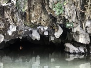 Cave, Rice, Bike and Other Four-letter Words: Phong Nha and Ninh Binh 51 E3AEE37A 6717 4254 A5E5 0EDA11451100