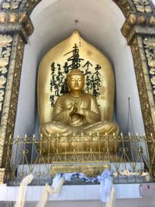 Pokhara: Peace Pagoda, Paragliding and Phewa 22 48E3021C DDD4 4A36 8F3E 8CF7FB17563B