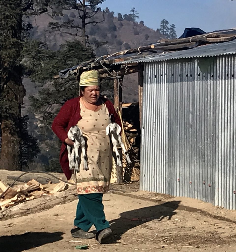 The Indigenous Peoples Trek - The Real Nepal 53 49DEDF3D-BD1C-4E56-B1A0-6C23E6C54185