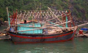 Kayaking, Karsts, Caves and Coves: Cat Ba Island 18 4B3A7B14 9B26 4477 8F29 040C9E272C40