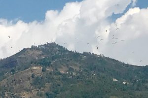 Pokhara: Peace Pagoda, Paragliding and Phewa 27 F0AF8708 97D7 45BD 9369 38F8FB760A7F
