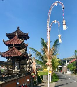 Beautiful Bali - Finding Culture and Customs. And Monkeys. Lots of Monkeys. 7 E6A120E2 C458 4EF0 B914 78D529C4CAB4