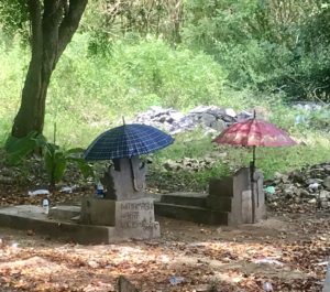 Beautiful Bali - Finding Culture and Customs. And Monkeys. Lots of Monkeys. 8 F3E42A17 C031 47ED 9B9A A3F606E56EFB