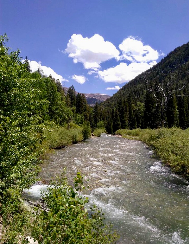 Colorado Rocky Mountain High - Lovin’ where you live. 11 0F89C5C3-38C2-48CD-9A14-4C4DF4356AF6