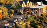 #TRAVEL HACK: Waiheke Island on the Cheap - 🍷How to Spend More Money on Wine🍷and Less Money on the Tour 19 23F1CD64 D20E 451D BD8E 9AF170C7DCDF