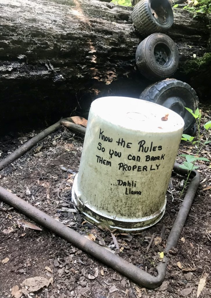 Hey, Doll! Check Out This Unusual Hike: Crazy Doll Heads in Atlanta 8 97EC18F2 D396 436A A3BF 9250D2590FE4