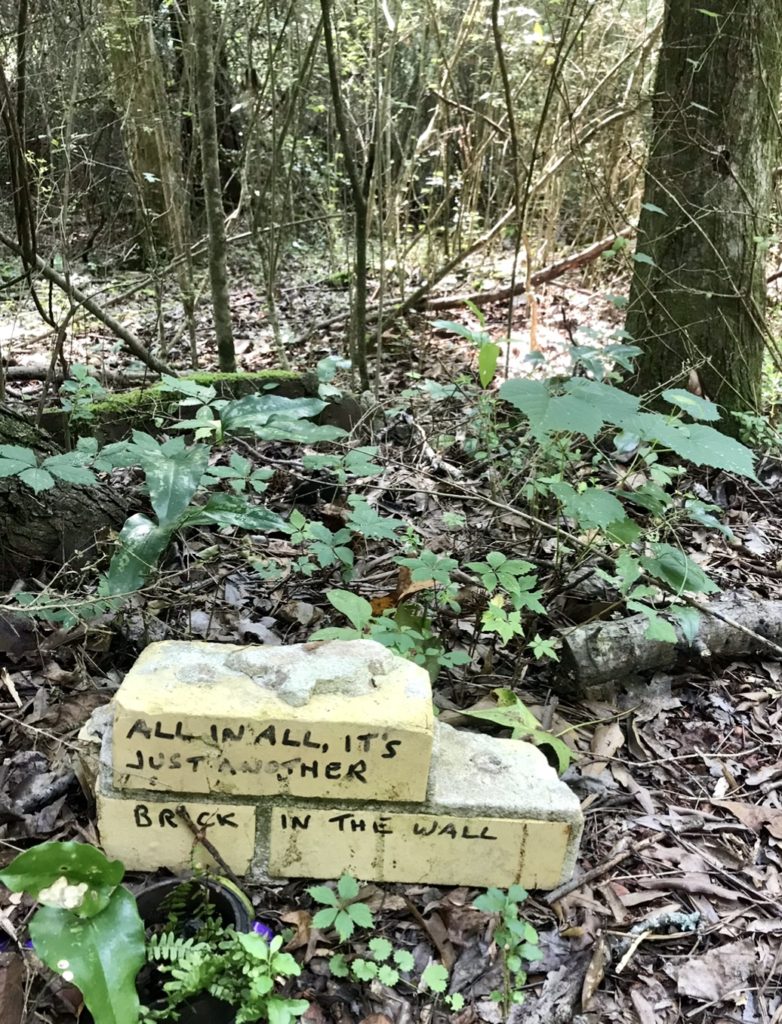 Hey, Doll! Check Out This Unusual Hike: Crazy Doll Heads in Atlanta 6 CEB4689B 971E 45A6 BDEB BB62228D22C7