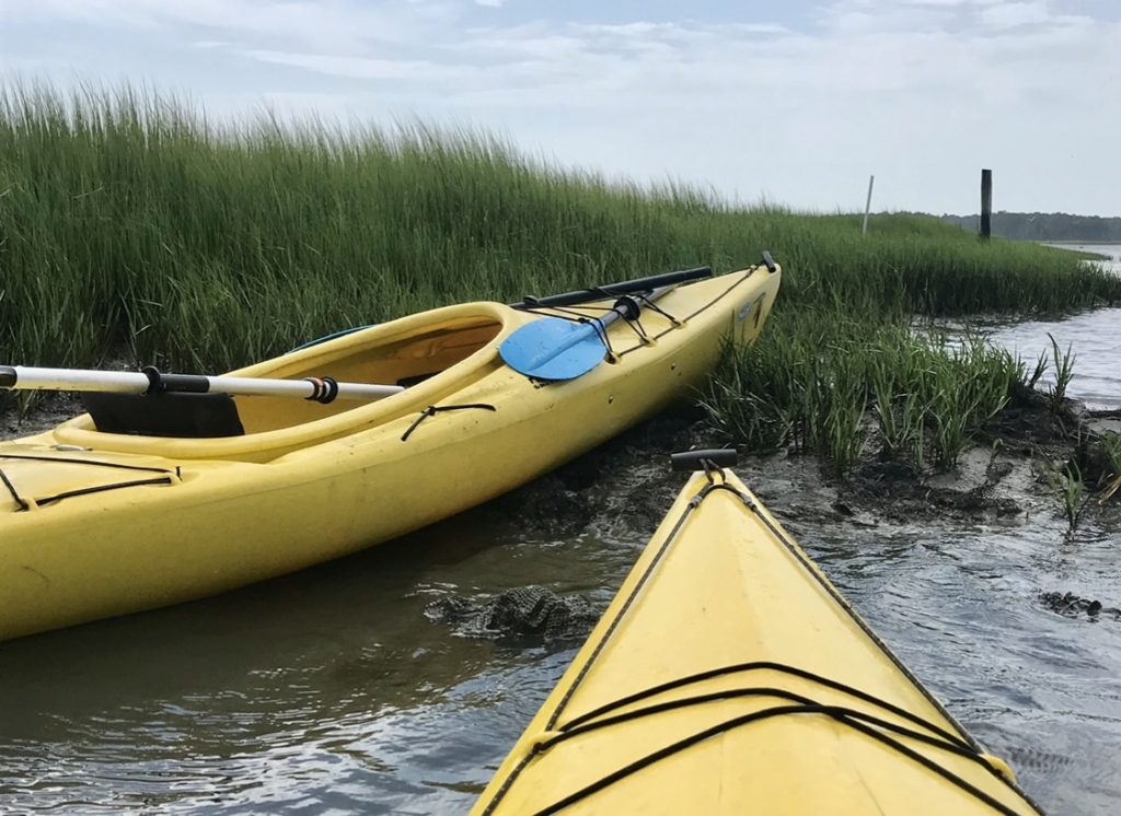 Misty of Chincoteague - Of Swimming Ponies, Kayaks, and a Hurricane 19 EBBAE78E C102 4FE3 8C83 5804CC9F9D89