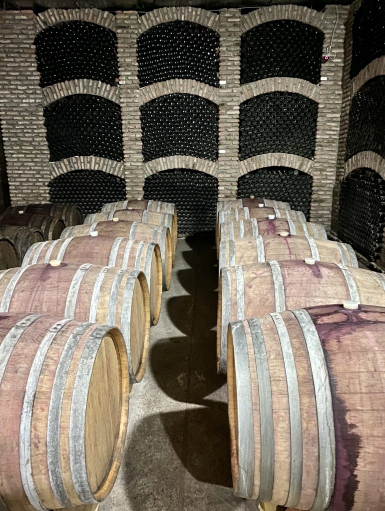 Learning about Georgian Wine 🍇…Gaumarjos 🍷გაუმარჯოს!! 28 348856BB B3DE 4148 8553 9A4B926686F5