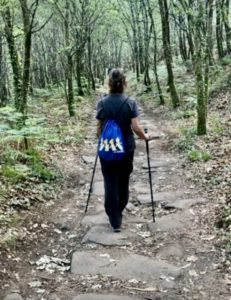 Walking The Way : 8 Helpful Insider Tips and Tricks for a Buen Camino 4 8673FA99 8685 436C B360 EA393485A983