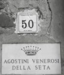 House-sitting in Tuscany: Livin' the 'Villa Loca'! 9 3298ADE2 A540 457A ABE2 CAF0A64A0C42