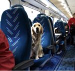 #TRAVEL HACK: HOW TO TAKE A TRAIN LIKE A BOSS – 9 Tips to Ride the Rails Successfully 🚂 24 36D0385F 7326 4660 B8D7 D3FEBB3276EF