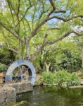 10 Reasons to Visit Beautiful Ile De La Réunion 🇷🇪 8 img 4044 1